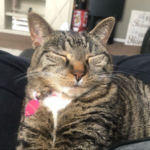 Meet your Posher, William